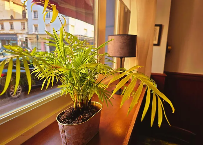 Alexandra Centre Hotel Boulogne-sur-Mer