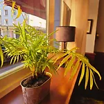 Hotel Alexandra Centre Ville-Nausicaa Hotel Boulogne-sur-Mer