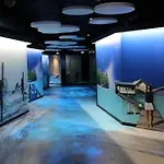 Hotel Alexandra Centre Ville-Nausicaa Szálloda 2*