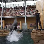 Hotel Alexandra Centre Ville-Nausicaa 2*