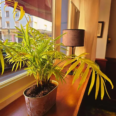 Alexandra Centre Ville-nausicaa Hotel Boulogne-sur-Mer