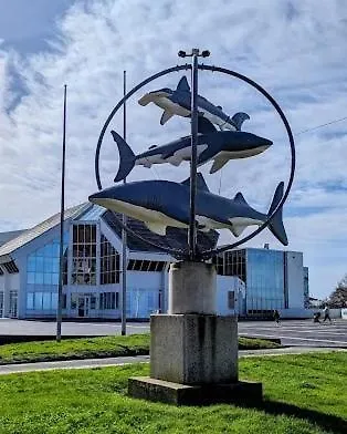 Alexandra Centre Ville-nausicaa 2* Boulogne-sur-Mer