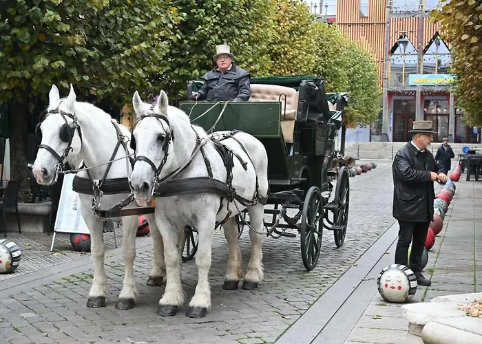 Alexandra Centre Hotel